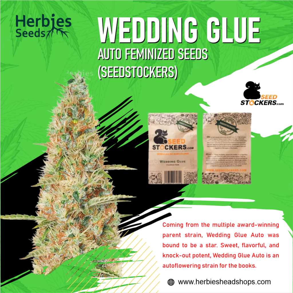 herbies seeds