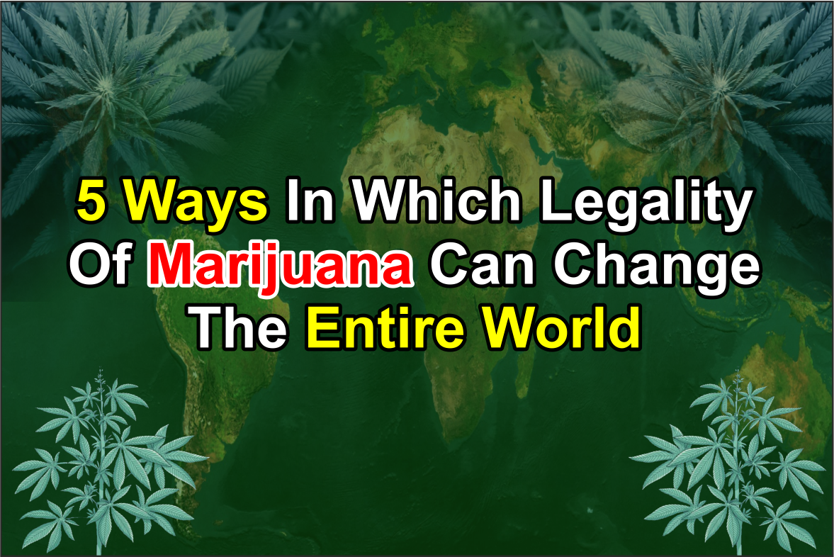 Legality Of Marijuana cannabis new zealand