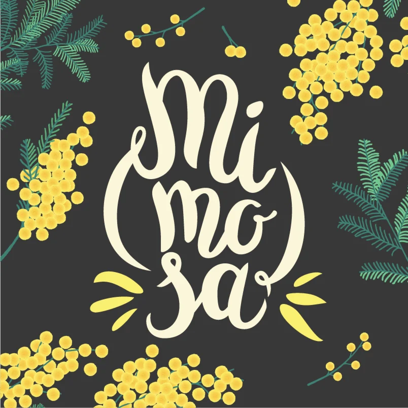 Mimosa x Orange Punch Seeds