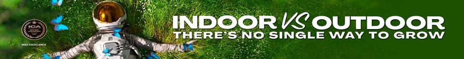 Blimburn Seeds Promo