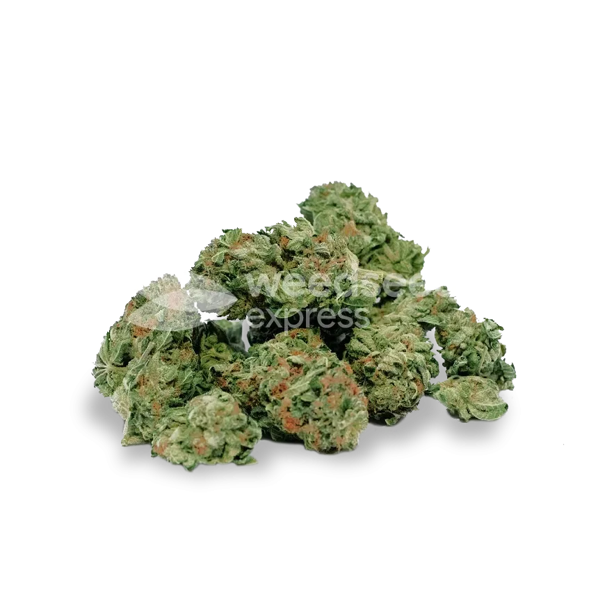 ACDC Seeds NZ
