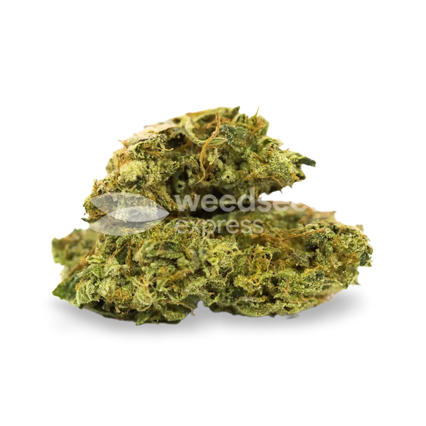 C. Banana seeds New Zealand