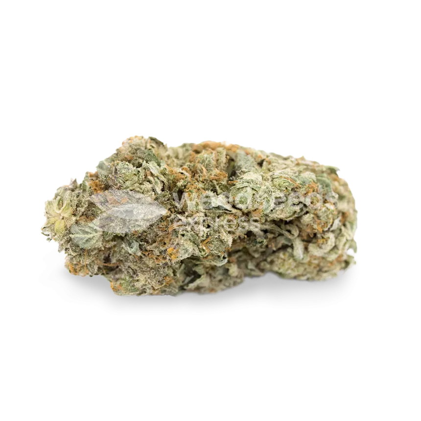Gorilla Glue #4 Seeds