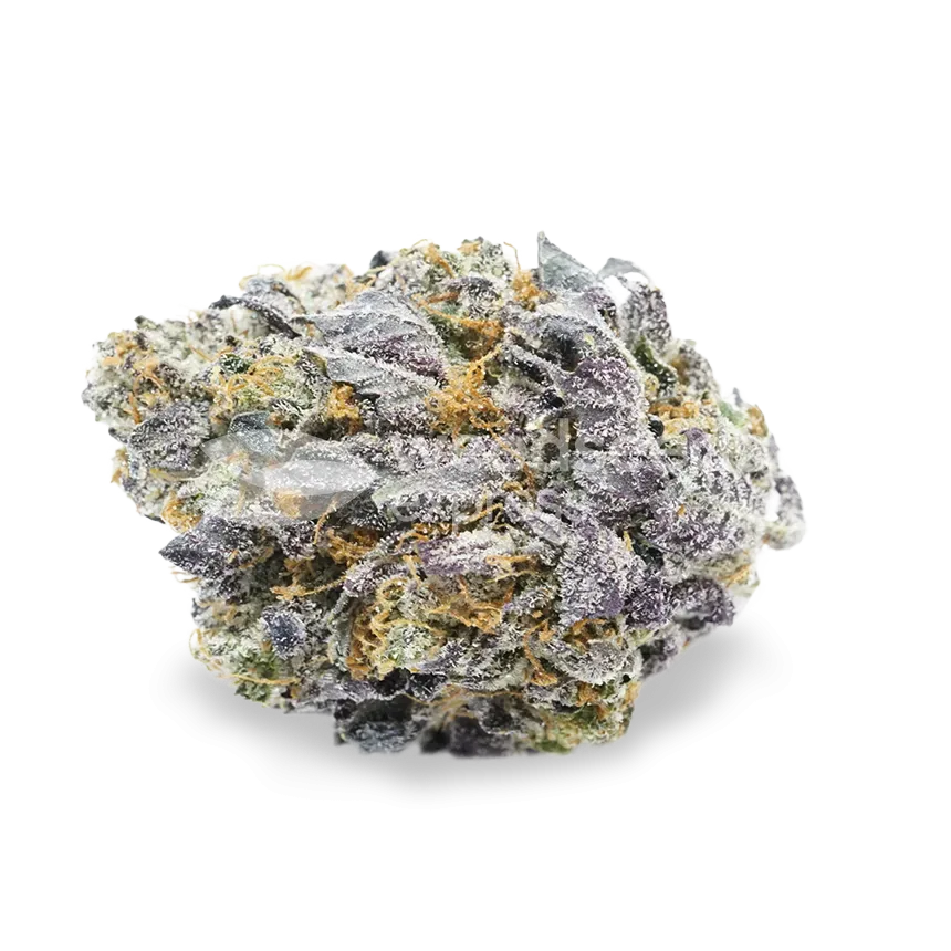 Granddaddy Purple seeds NZ