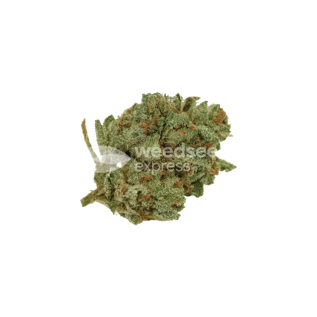 Sour Diesel Auto Seeds NZ