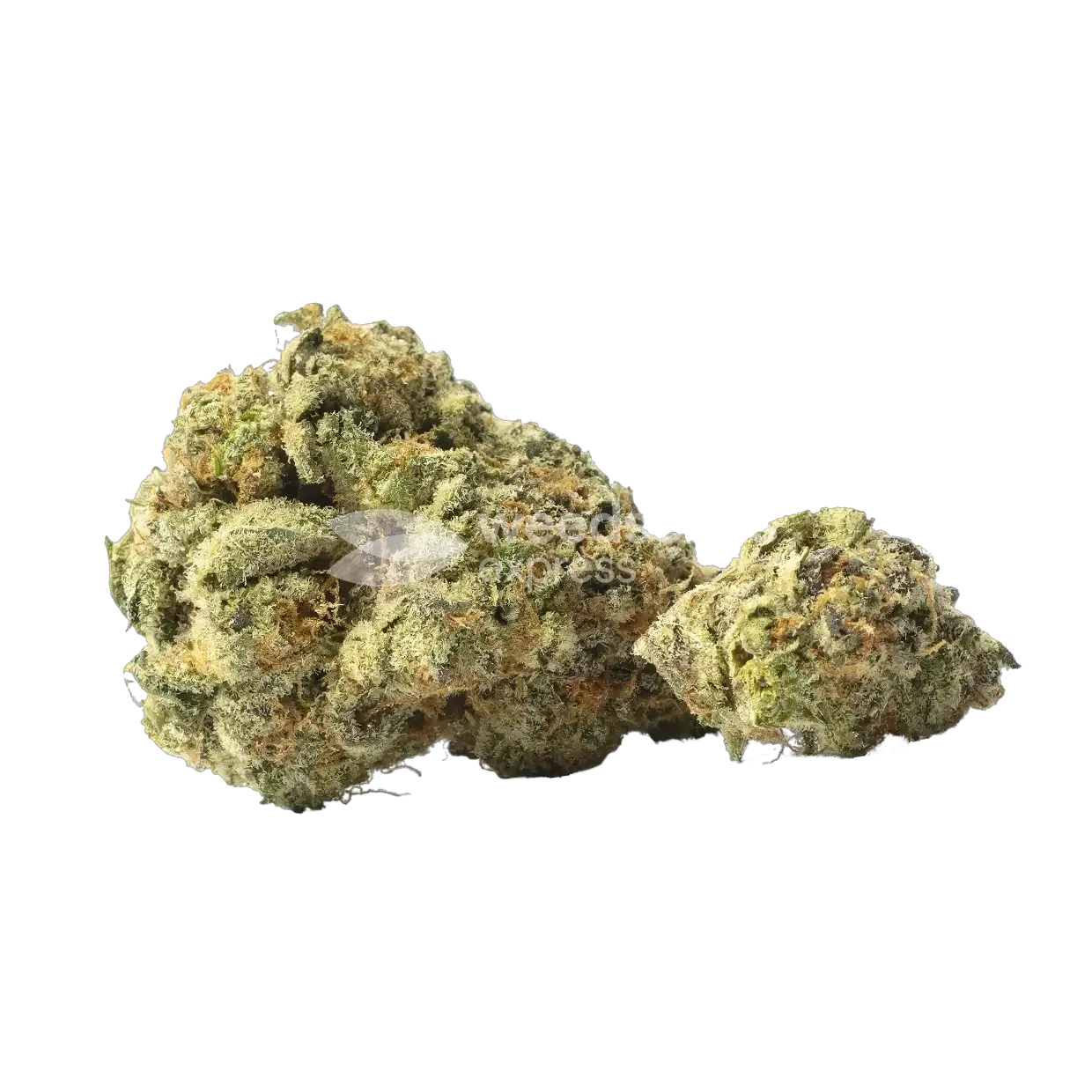 Yumbolt Banana Auto seeds NZ